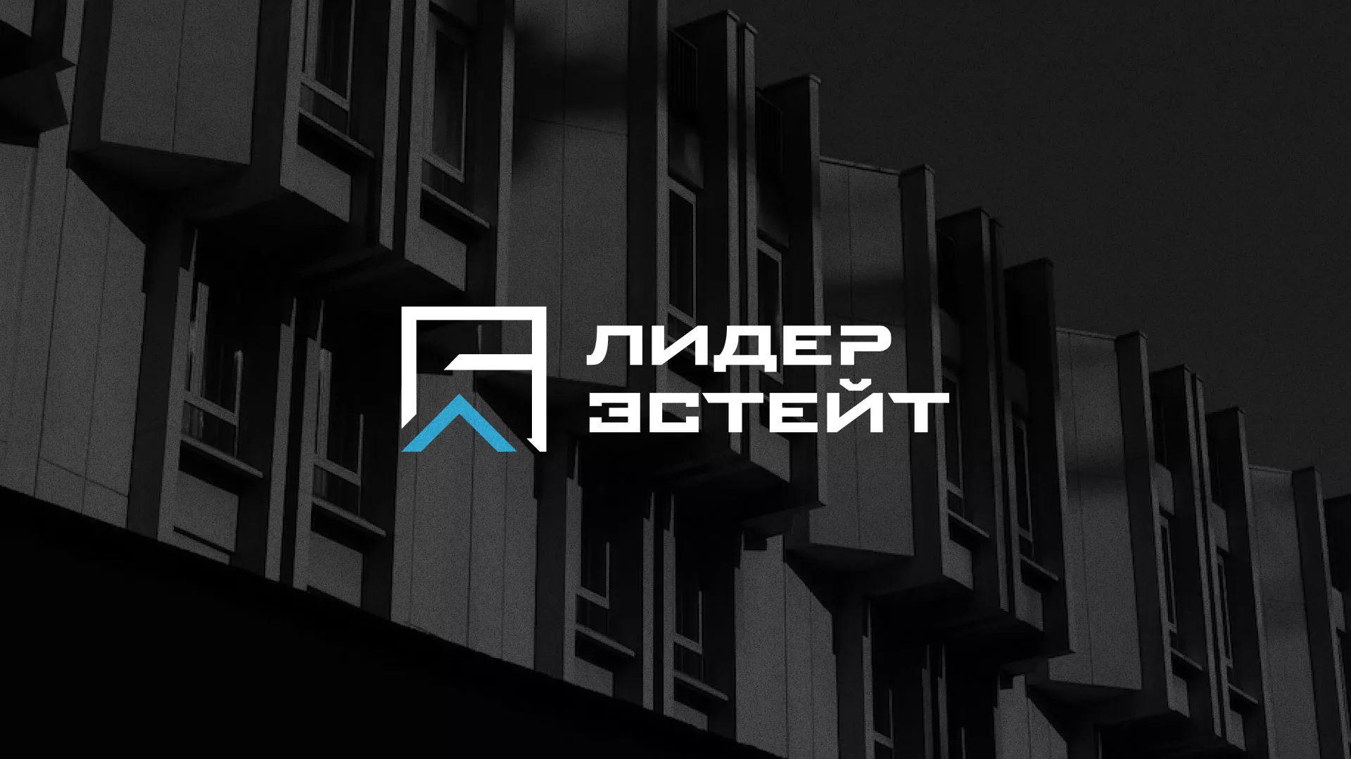 Разработка логотипа агентства недвижимости «Лидер Эстейт» в Ак-Довураке